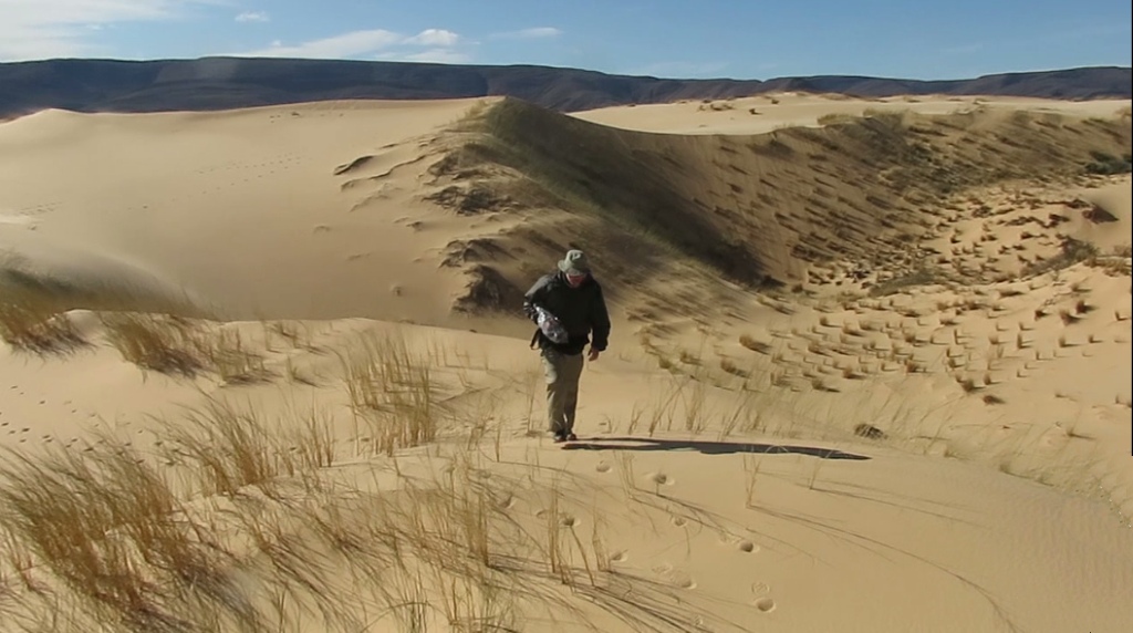 Witsand dune